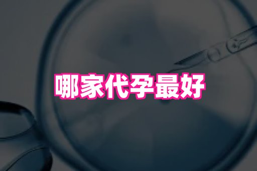 哈尔滨助孕网 2