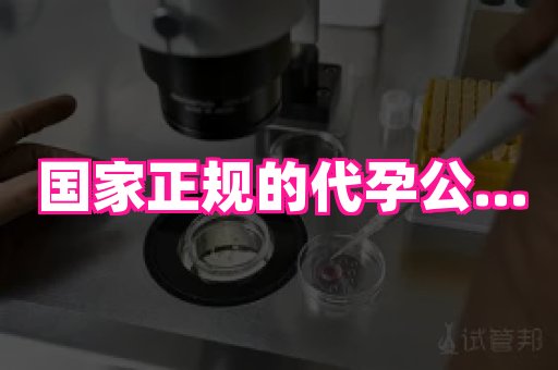哈尔滨助孕网 4